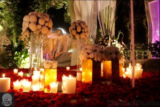 Panacea Entertainment Wedding Planners weddingplz