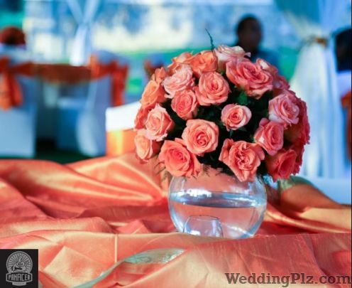 Panacea Entertainment Wedding Planners weddingplz