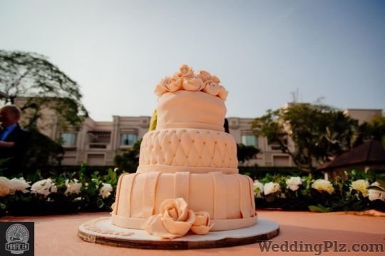 Panacea Entertainment Wedding Planners weddingplz