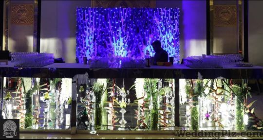 Panacea Entertainment Wedding Planners weddingplz
