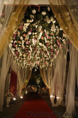 Panacea Entertainment Wedding Planners weddingplz