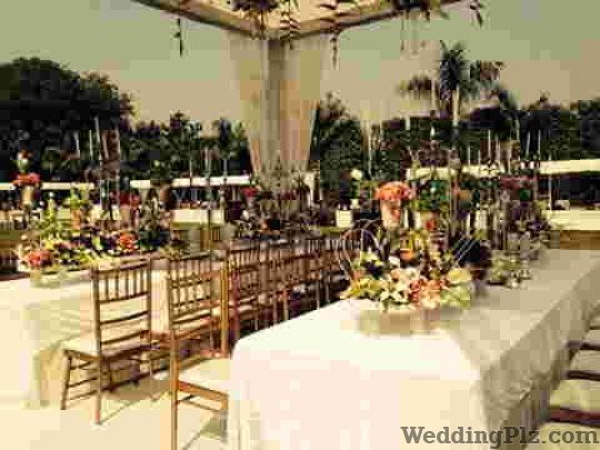 Elements Decor Wedding Planners weddingplz