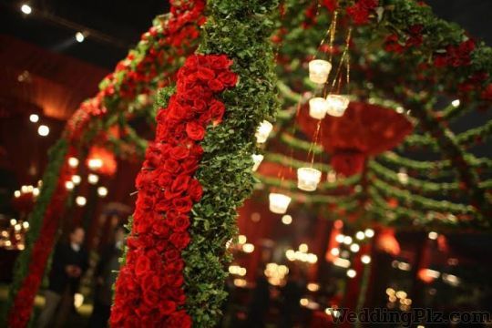 Impact One Events Wedding Planners weddingplz