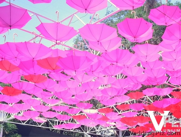 Vplan Unlimited Wedding Planners weddingplz