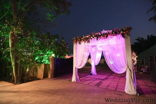 Snow Bubble Eventz Wedding Planners weddingplz