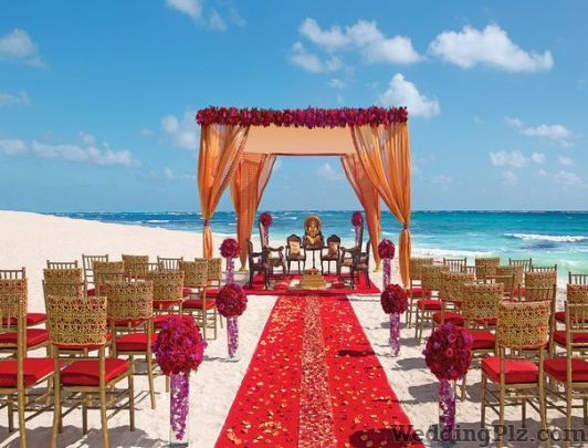 Avenues Hospitality Services Wedding Planners weddingplz