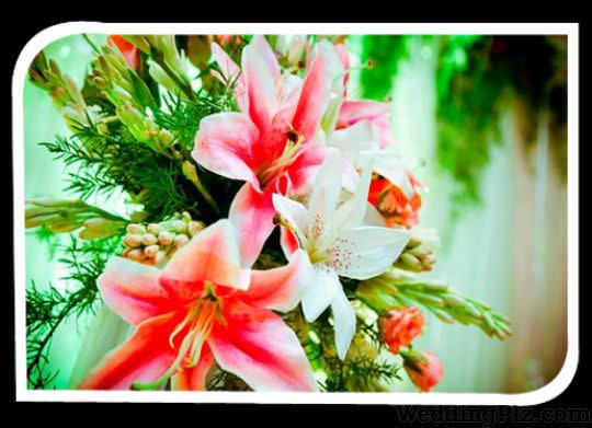 Raos Event Planners Wedding Planners weddingplz