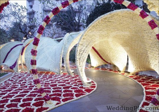 GTC Events Wedding Planners weddingplz