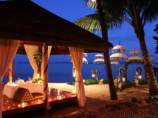 My Shaadi Wale Wedding Planners weddingplz