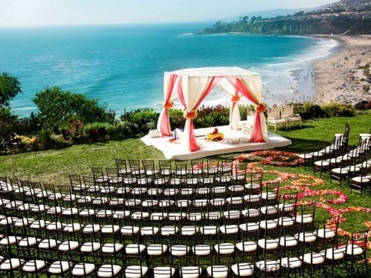 My Shaadi Wale Wedding Planners weddingplz