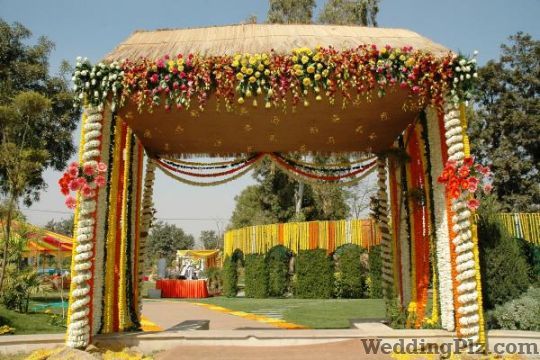 Make My Events Wedding Planners weddingplz