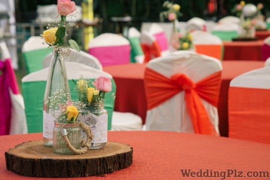 Your Day Weddings and Events Wedding Planners weddingplz