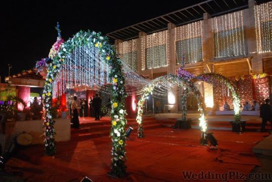 Blue Apple Entertainment Wedding Planners weddingplz