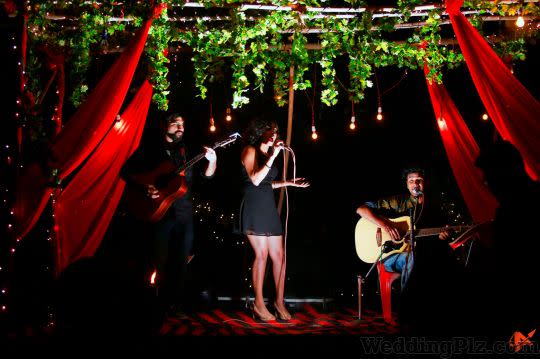 Arrow Multimedia Wedding Planners weddingplz