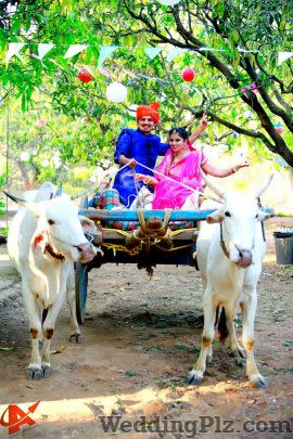 Arrow Multimedia Wedding Planners weddingplz