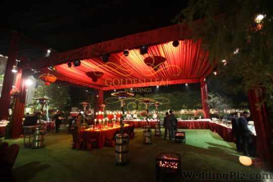 Golden Leaf Weddings Wedding Planners weddingplz