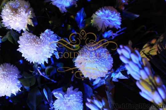 Golden Leaf Weddings Wedding Planners weddingplz