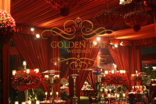 Golden Leaf Weddings Wedding Planners weddingplz