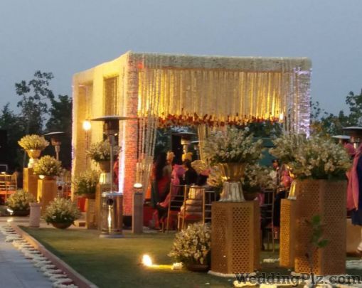 Rani Pink Wedding Planners weddingplz