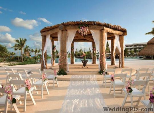 Wedding Amigos Wedding Planners weddingplz