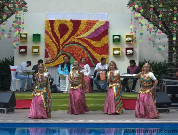 Theme Weavers Designs Wedding Planners weddingplz