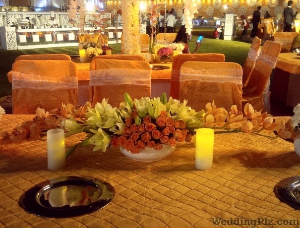 Theme Weavers Designs Wedding Planners weddingplz