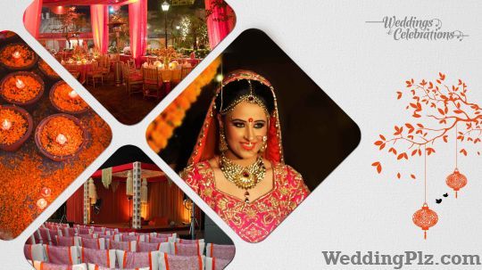 The Livewire Experience Wedding Planners weddingplz