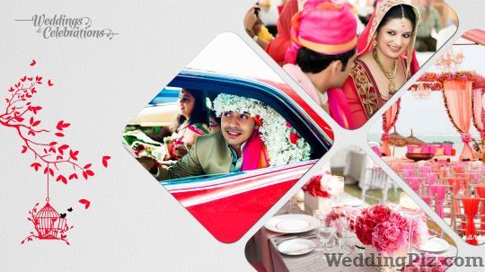 The Livewire Experience Wedding Planners weddingplz