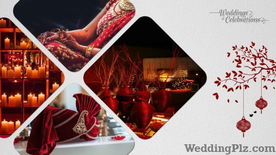 The Livewire Experience Wedding Planners weddingplz