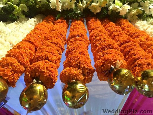 Event Creators Wedding Planners weddingplz