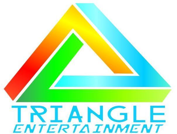 Triangle Entertainment Pvt Ltd Wedding Planners weddingplz