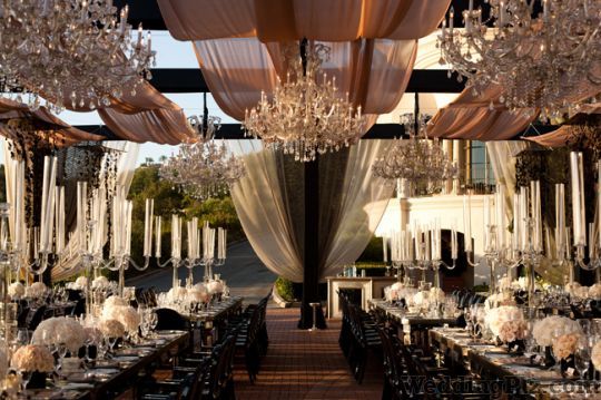 Wedding Starz Wedding Planners weddingplz
