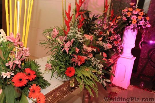 Queen Events Wedding Planners weddingplz