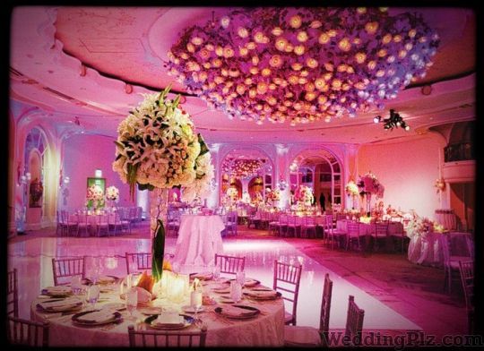 Plan N Promises Wedding Planners weddingplz
