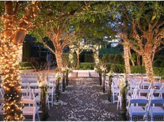 Tie The Knot CELEBRATING LOVE Wedding Planners weddingplz