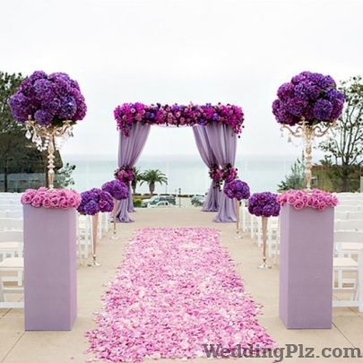 Tayna Events Wedding Planners weddingplz