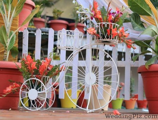Tayna Events Wedding Planners weddingplz
