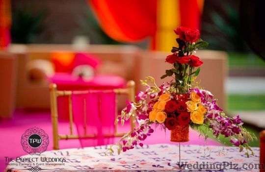 The Perfect Weddings Wedding Planners weddingplz