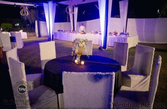 The Perfect Weddings Wedding Planners weddingplz