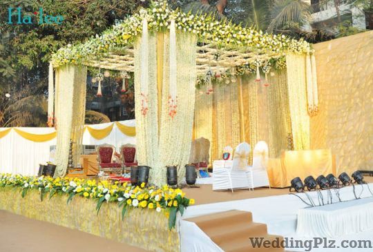 Hailee Events Wedding Planners weddingplz