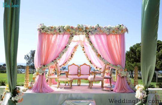 Hailee Events Wedding Planners weddingplz