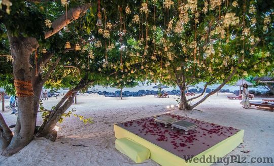 WED gurus Wedding Planners weddingplz