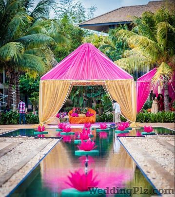 WED gurus Wedding Planners weddingplz