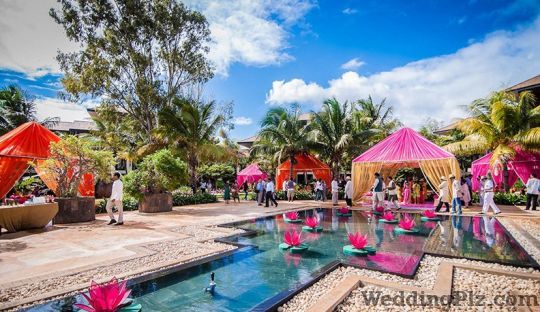 WED gurus Wedding Planners weddingplz