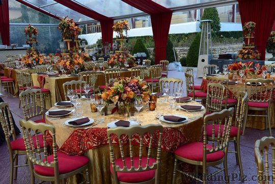WED gurus Wedding Planners weddingplz
