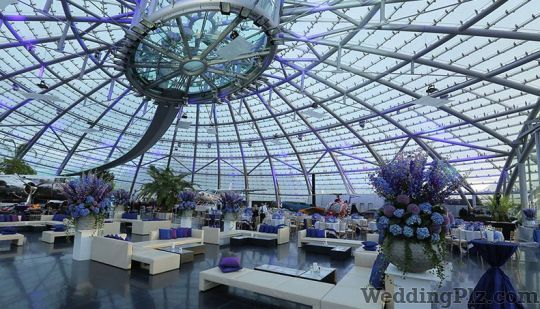 WED gurus Wedding Planners weddingplz