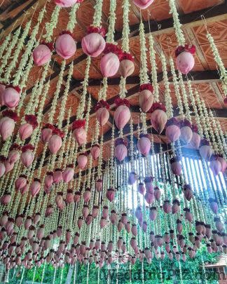 Rainmaker Events and Weddings Wedding Planners weddingplz