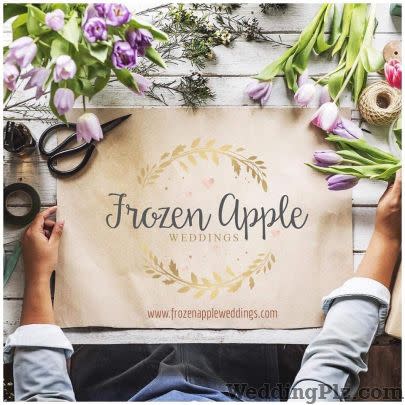 Frozen Apple Weddings Wedding Planners weddingplz