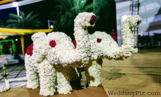 Darsh Entertainment Wedding Planners weddingplz
