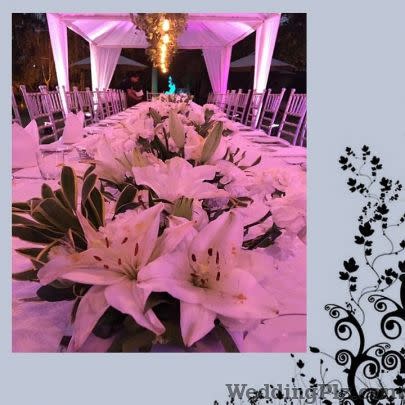The Reve Events Wedding Planners weddingplz